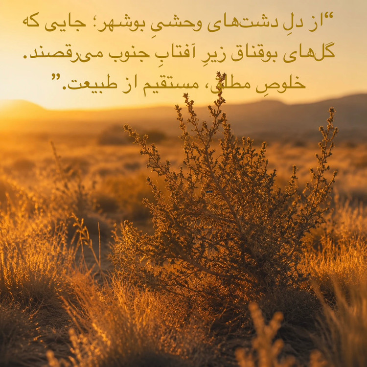 عسل ارگانیک بوقناق (زول)